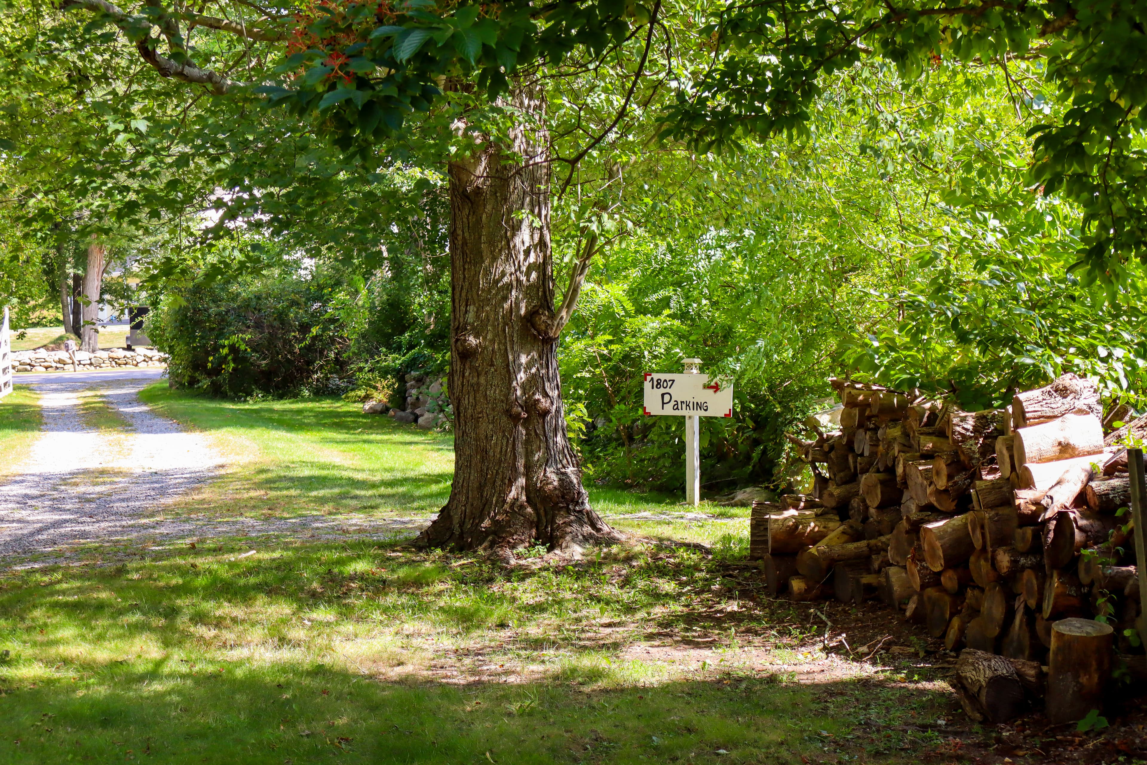 A gravel path lined with trees leads to a sign reading "1807 Parking" beside a stack of logs.