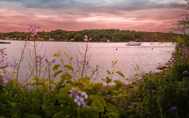 A serene lakeside view at sunset, featuring a boat and blooming flowers in the foreground.