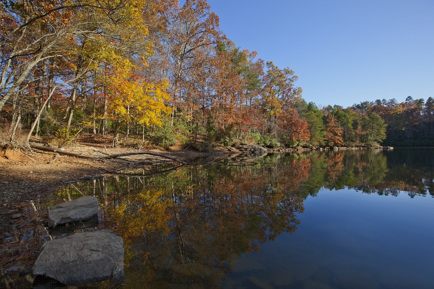 A tranquil lake surrounded by vibrant autumn trees reflects the clear blue sky.