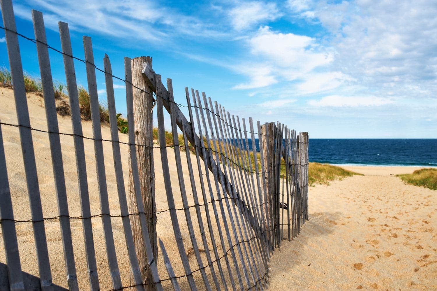 A wooden fence leads to a sandy beach with the ocean and a blue sky in the background.
