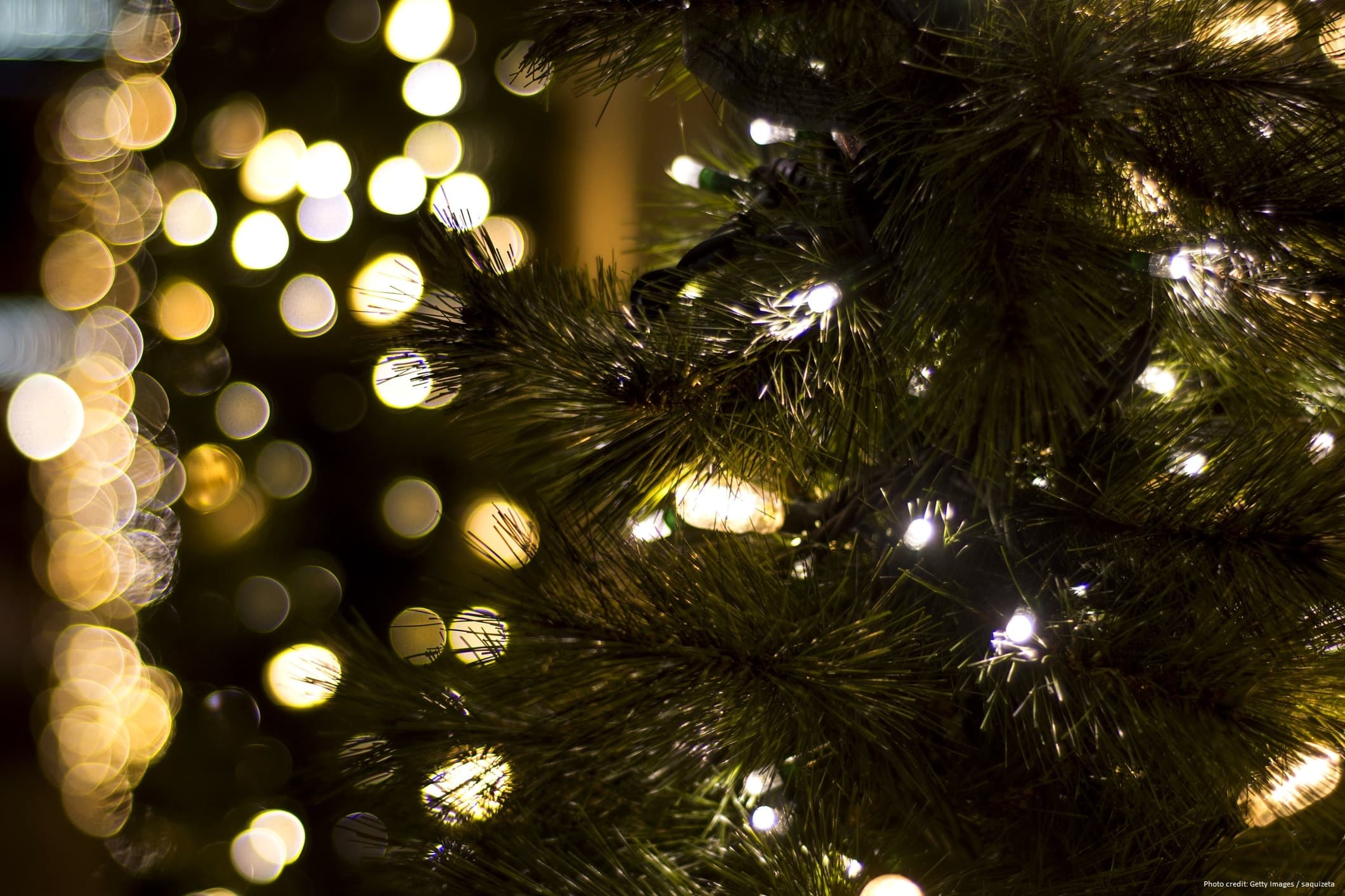 Close-up of a Christmas tree branch adorned with soft, glowing lights and a bokeh background of illuminated orbs.