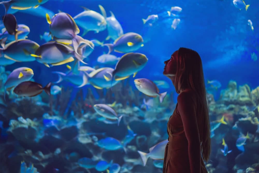 A woman gazes in wonder at colorful fish swimming in an aquarium.