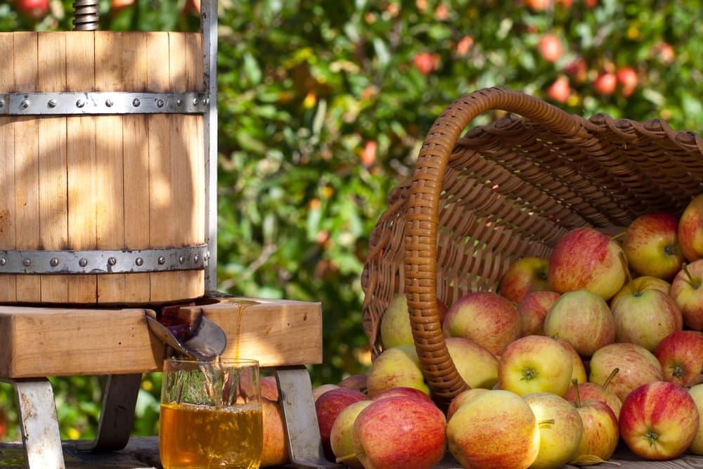 A wooden apple press with juice flowing into a glass beside a basket overflowing with apples.