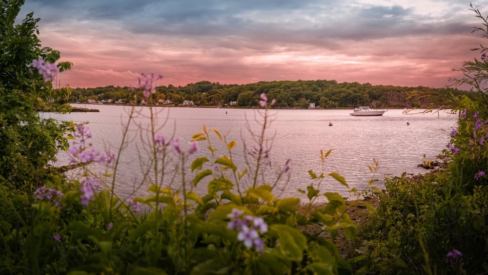 A tranquil waterfront scene at sunset, framed by blooming flowers and greenery.