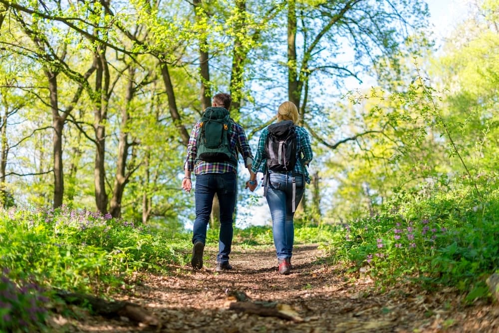 A couple walks hand-in-hand down a forest path surrounded by greenery. A couple walks hand-in-hand down a forest path surrounded by greenery.