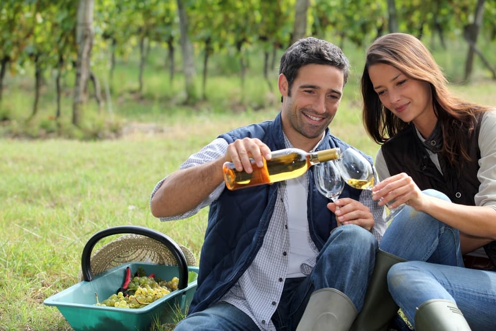 A man pours wine into a glass while a woman watches, both sitting in a vineyard.