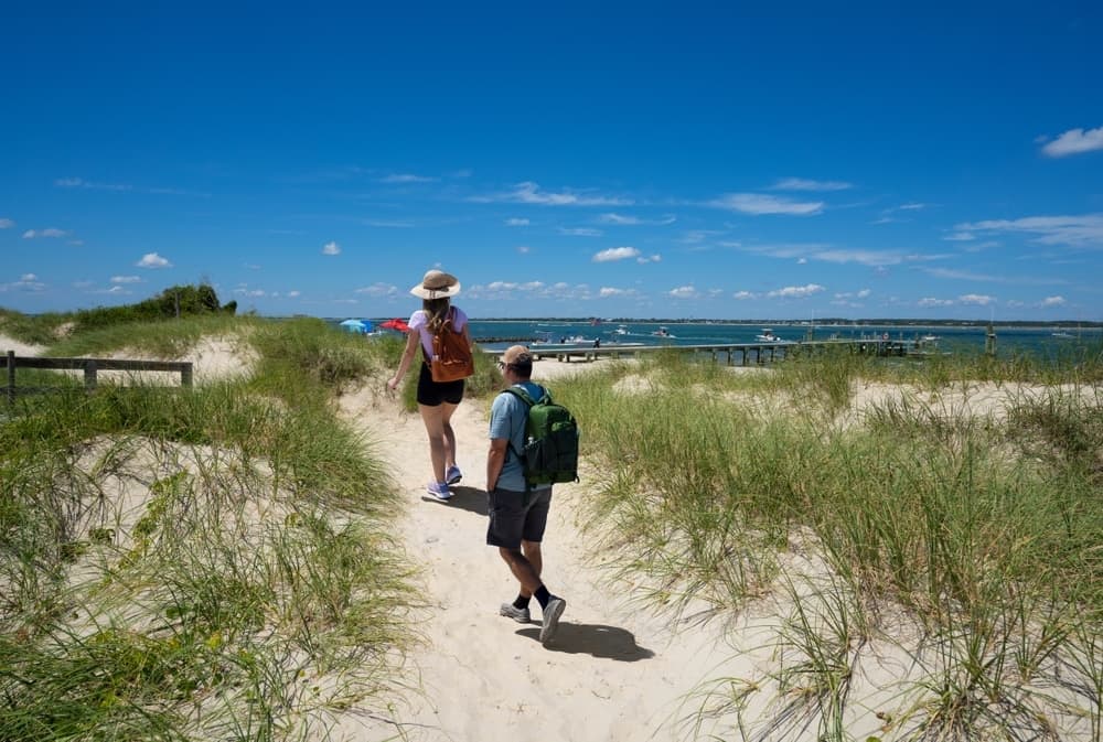 Two people walk along a sandy path through grass towards the beach on a sunny day.
