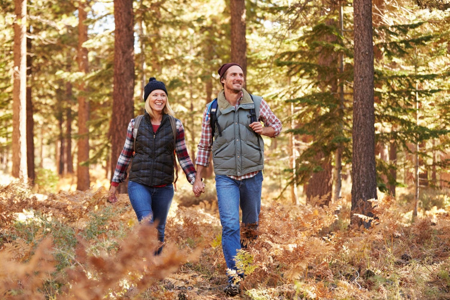 A couple walks hand-in-hand through a colorful forest in autumn.