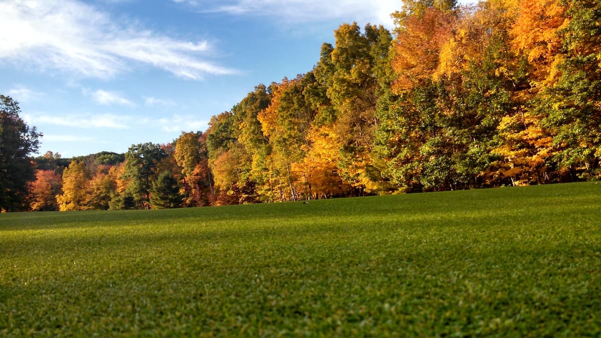 A vibrant fall landscape features colorful trees against a clear blue sky, with a lush green lawn in the foreground.