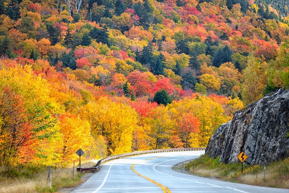 A winding road surrounded by vibrant autumn foliage in shades of orange, red, and yellow.