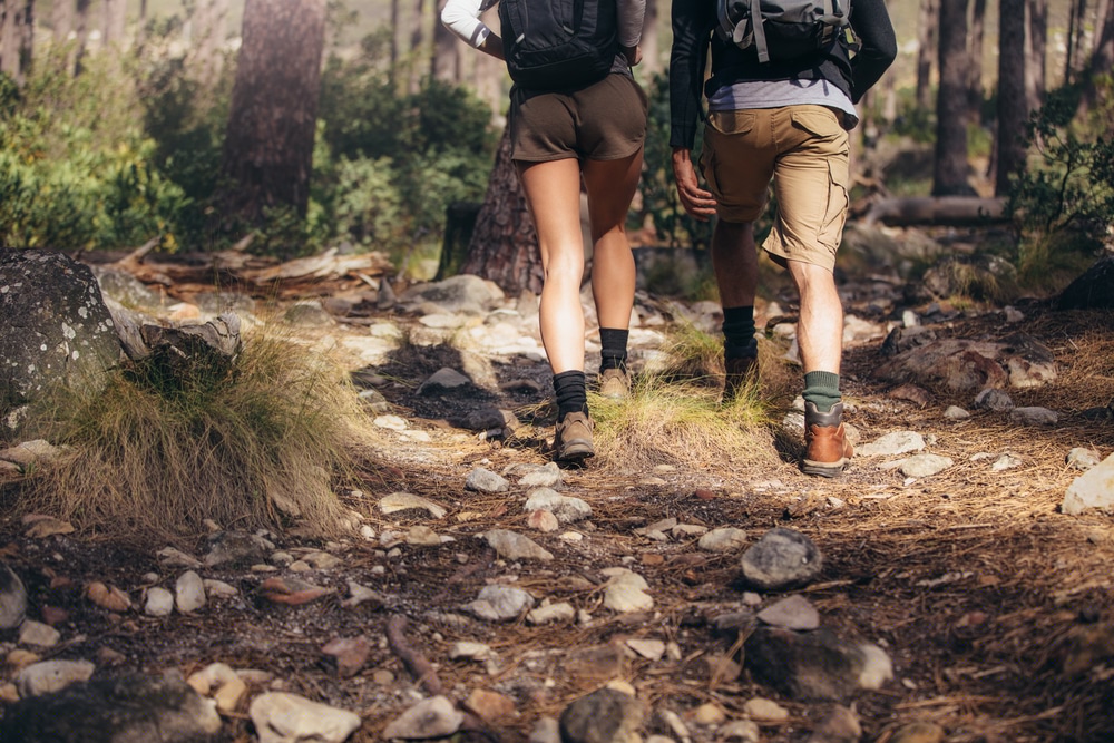 Two hikers walk along a rocky trail in a forest.
