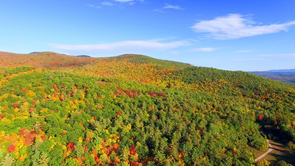 Aerial view of vibrant autumn foliage covering rolling hills under a clear blue sky.