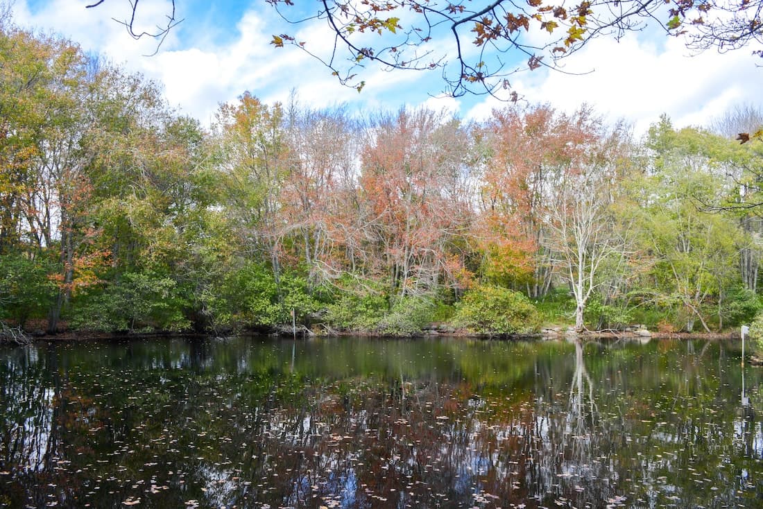 A serene pond surrounded by autumn-colored trees reflecting in the water.