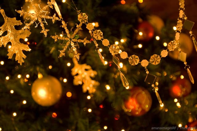 Decorative ornaments and lights hang from a Christmas tree.