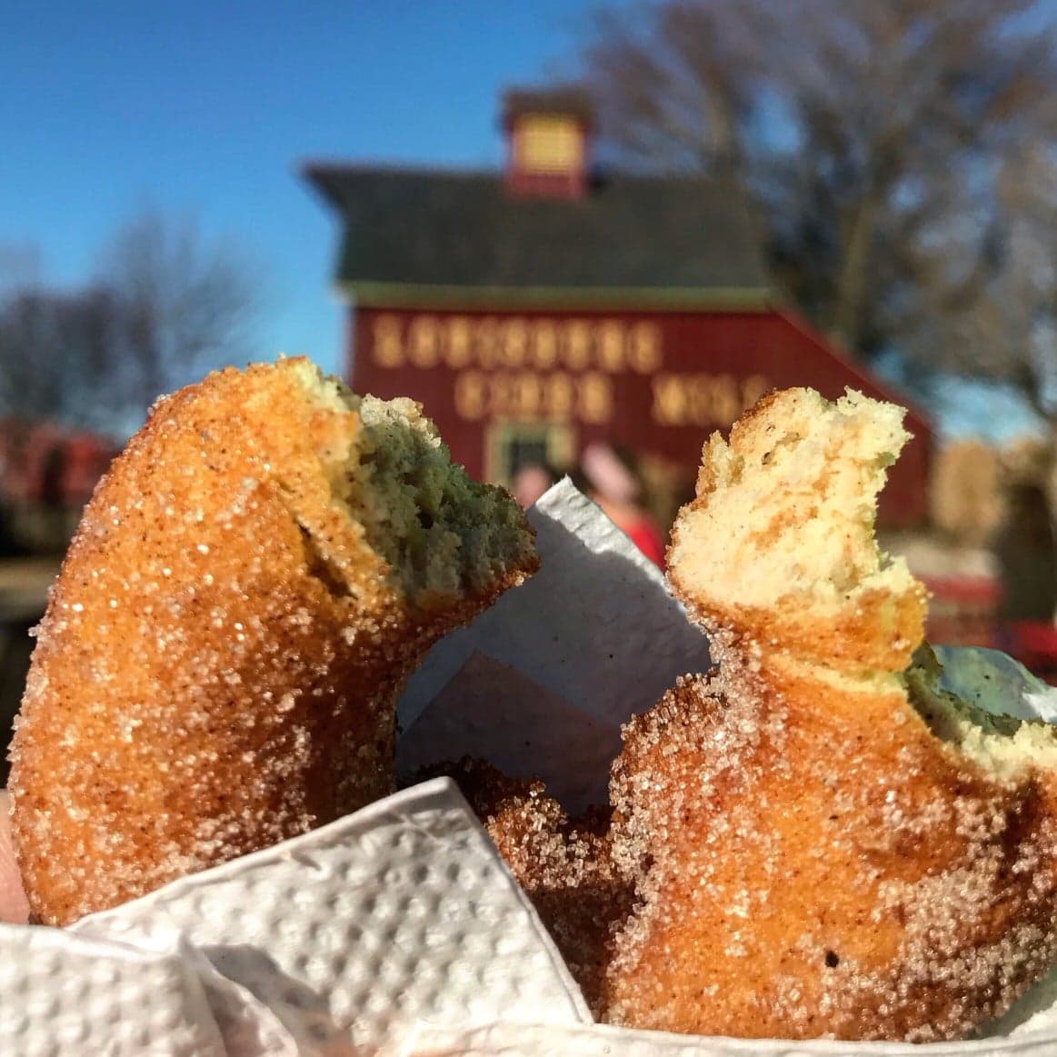 A hand holds two sugar-coated, bite-sized pastries in front of a red barn.