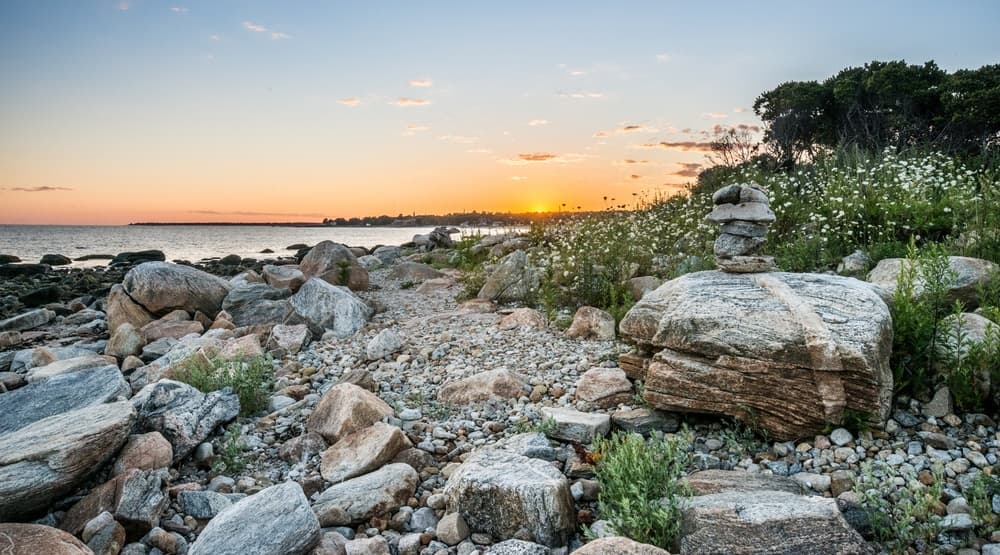 A rocky shoreline at sunset with stacked stones and wildflowers.