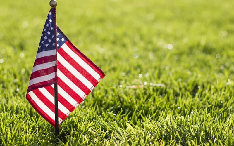 A small American flag is planted in green grass.