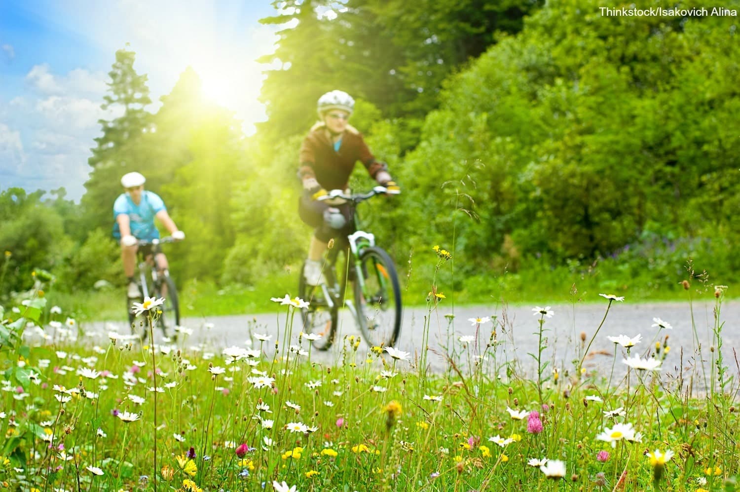 Two cyclists ride along a grassy path adorned with wildflowers under a sunny sky.