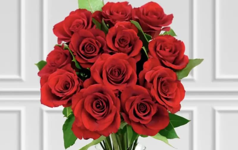A bouquet of twelve red roses with green leaves against a neutral background.