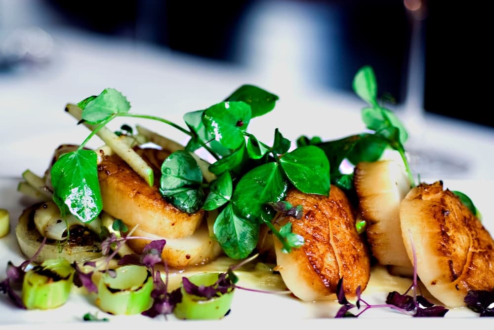 A plate of seared scallops garnished with fresh herbs and greenery.