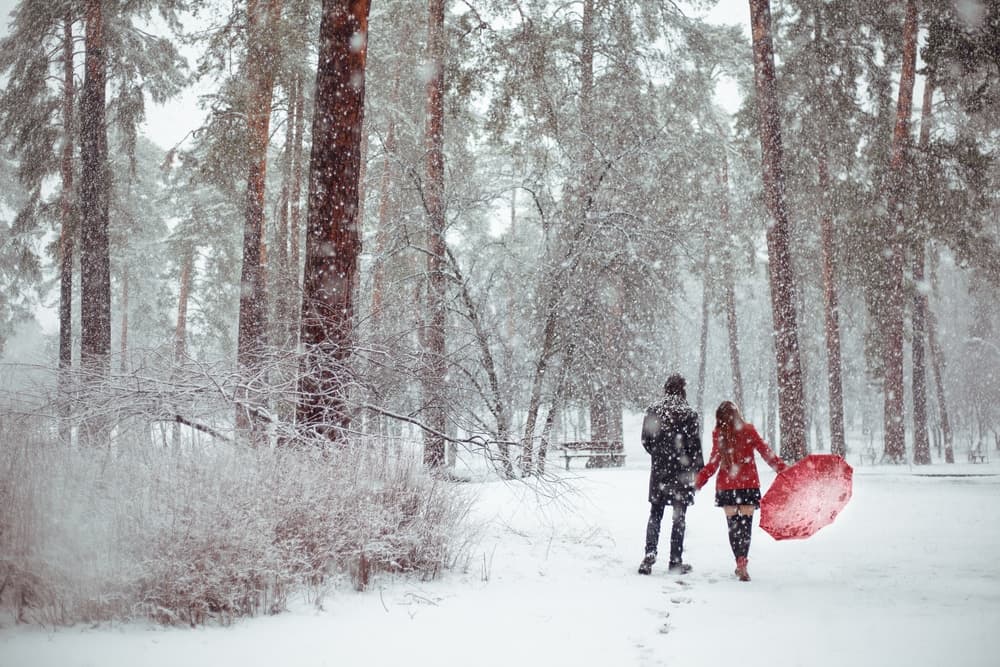 A couple walks hand in hand through a snowy forest, with one holding a red umbrella.