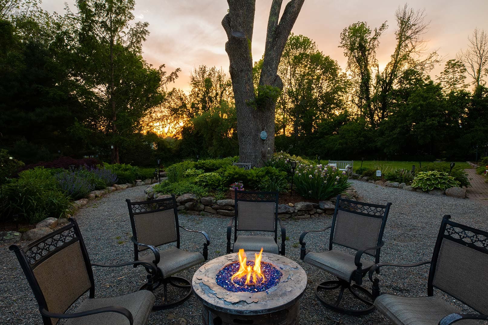 A cozy fire pit surrounded by chairs sits in a garden at sunset.