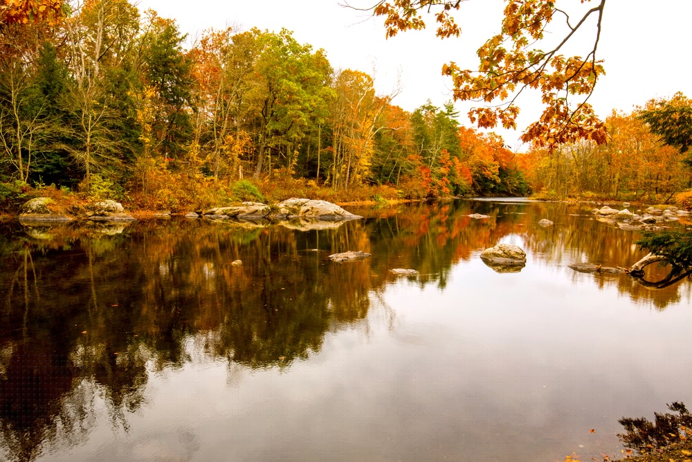 A serene river reflects autumn foliage in vibrant colors.