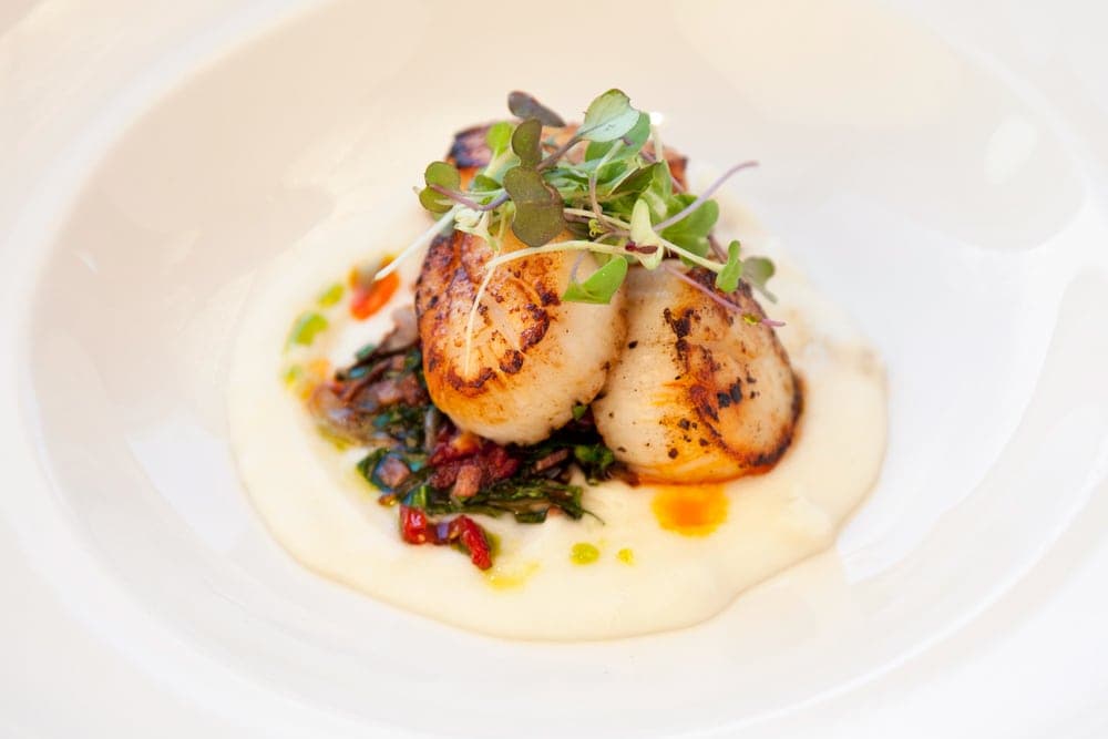 Seared scallops atop creamy puree, garnished with microgreens and colorful sautéed vegetables.