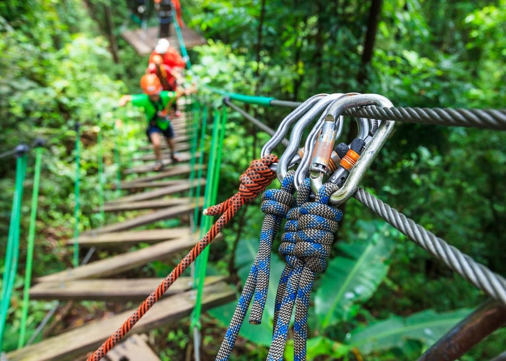 Close-up of climbing gear and carabiners with a blurred background of a person ascending a forested zip line course.