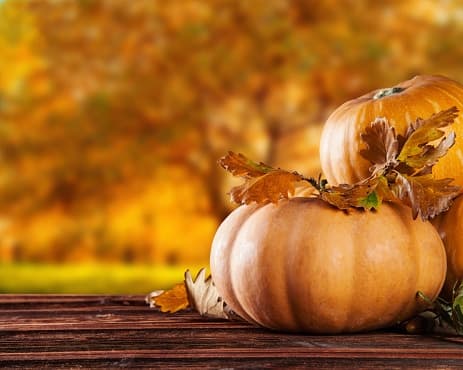 Two pumpkins on a wooden table with autumn leaves, set against a blurred fall background.
