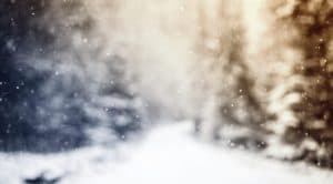 Snowflakes gently fall in a foggy, wintry landscape with trees in the background.
