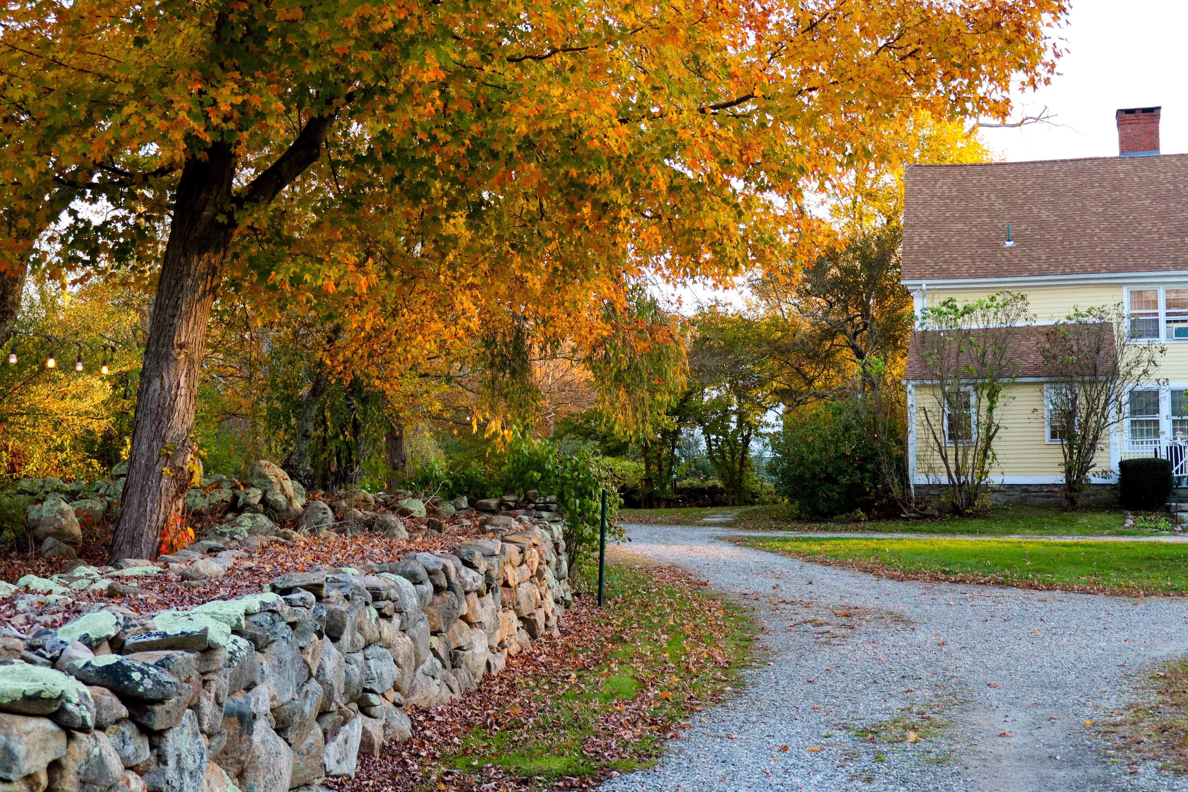 A gravel pathway lined with a stone wall and surrounded by autumn foliage leads to a yellow house.