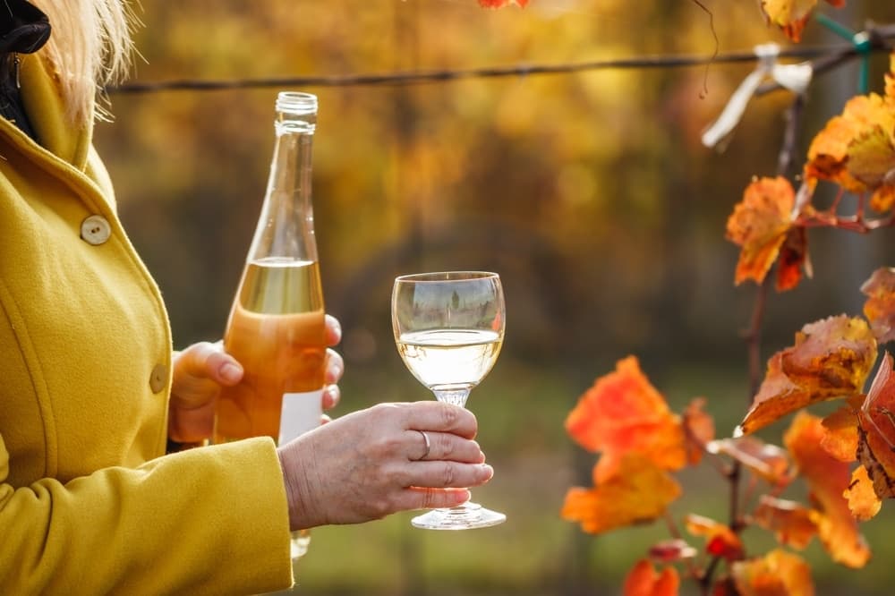 A person in a yellow coat holds a glass of white wine and a bottle among autumn leaves.