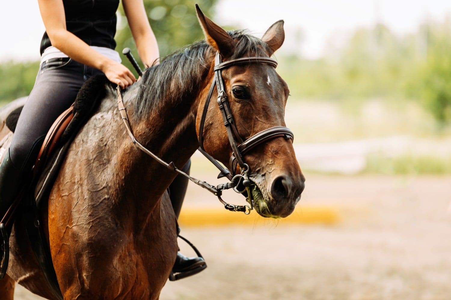 A rider in a black shirt sits on a brown horse in an outdoor setting.