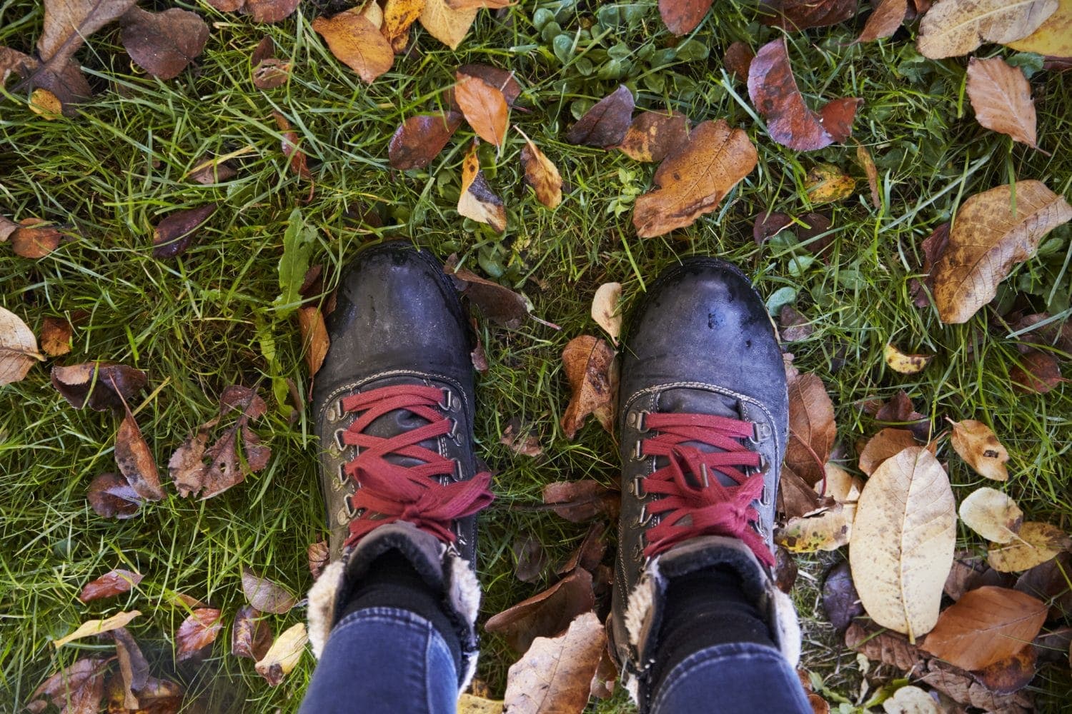 A pair of boots with red laces resting on grass covered with autumn leaves.
