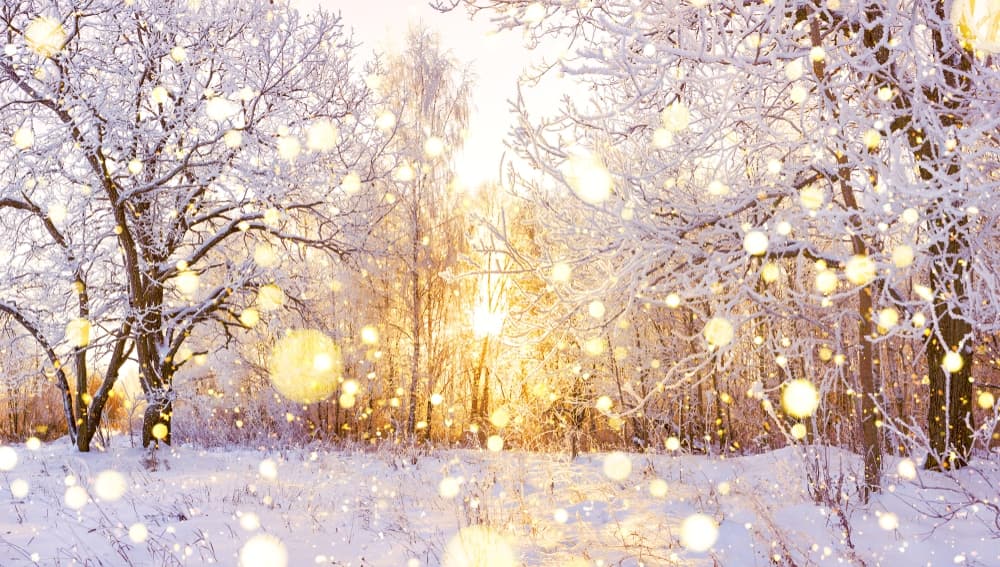 A snowy landscape with silhouetted trees and a bright sunrise, adorned with soft, glowing lights.