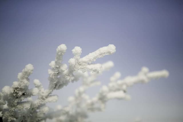 winter wedding in ct
