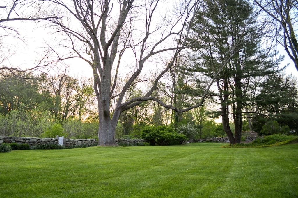A large, manicured lawn surrounded by trees and a stone wall at sunset.
