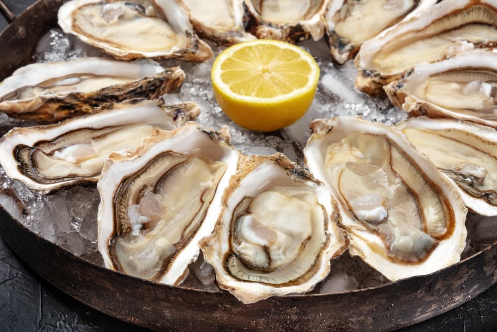 A platter of fresh oysters on ice, arranged around a halved lemon.