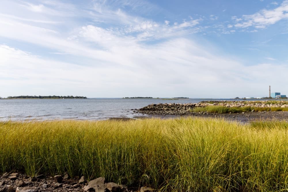 A view of a calm shoreline with grass and rocky outcrops extending into the water under a blue sky with clouds.