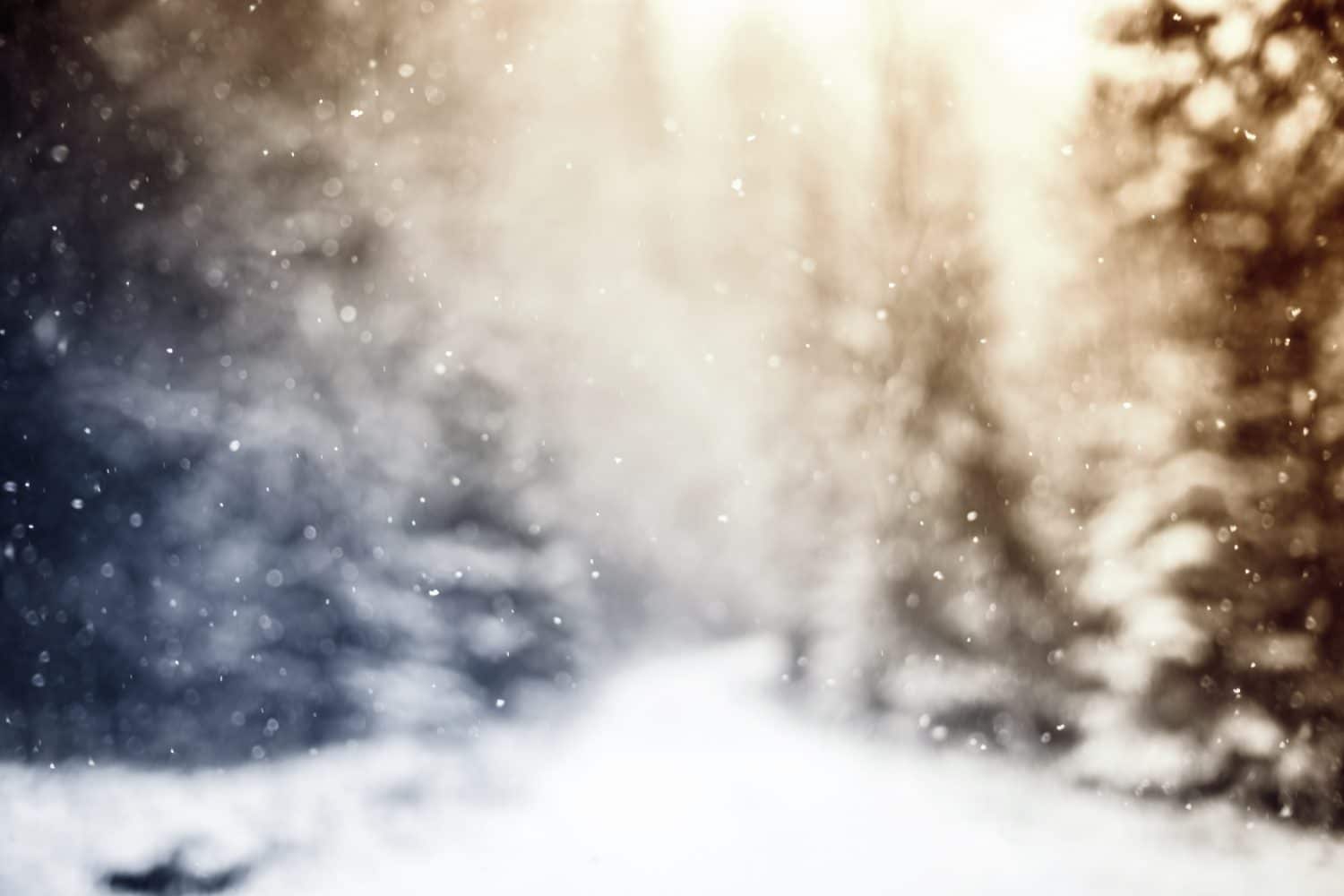A softly blurred winter landscape with falling snow and evergreen trees.