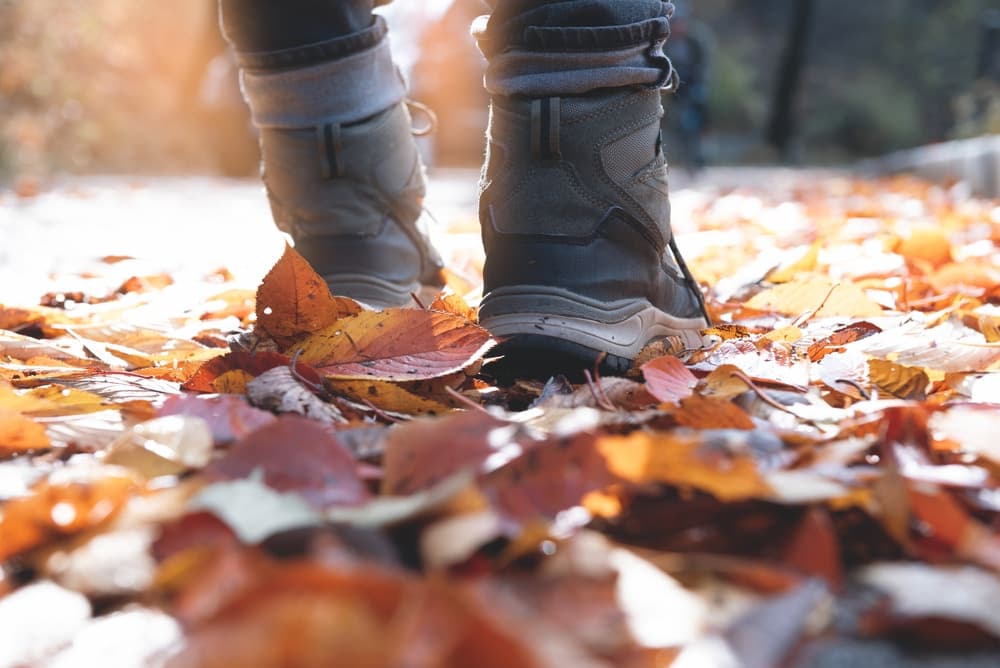 A person stands on a path covered with colorful autumn leaves.
