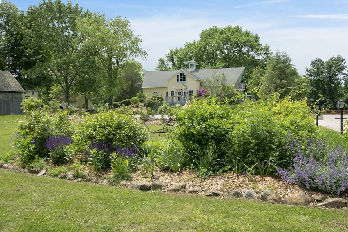 A charming house is surrounded by lush greenery and colorful flower beds under a clear blue sky.