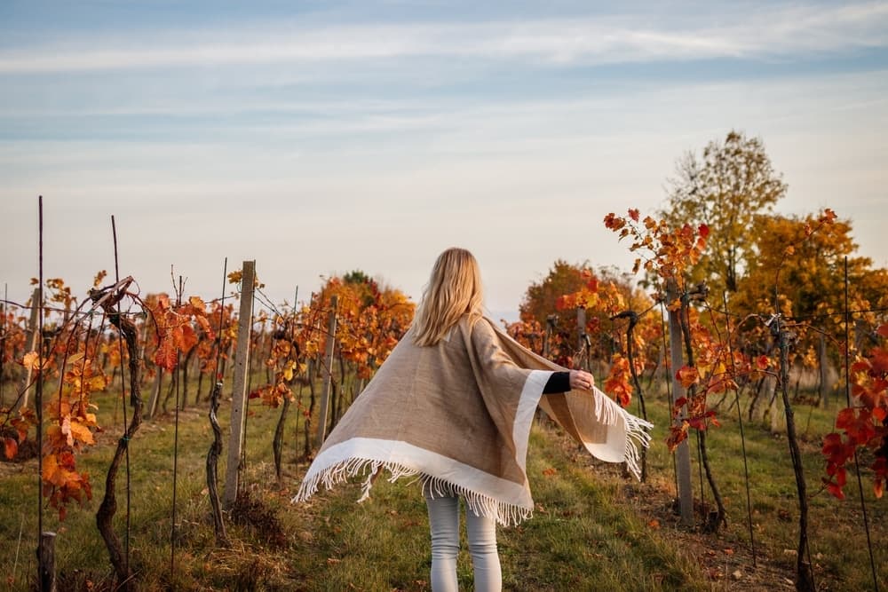 A woman in a poncho walks through a vineyard adorned with autumn-colored leaves.
