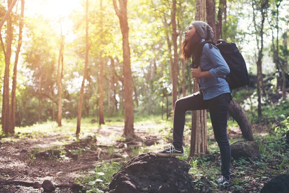 A hiker pauses on a rock in a sunlit forest.