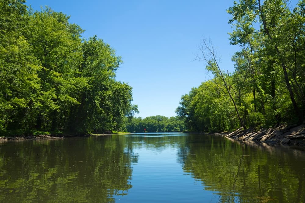 A serene river surrounded by lush green trees under a clear blue sky.