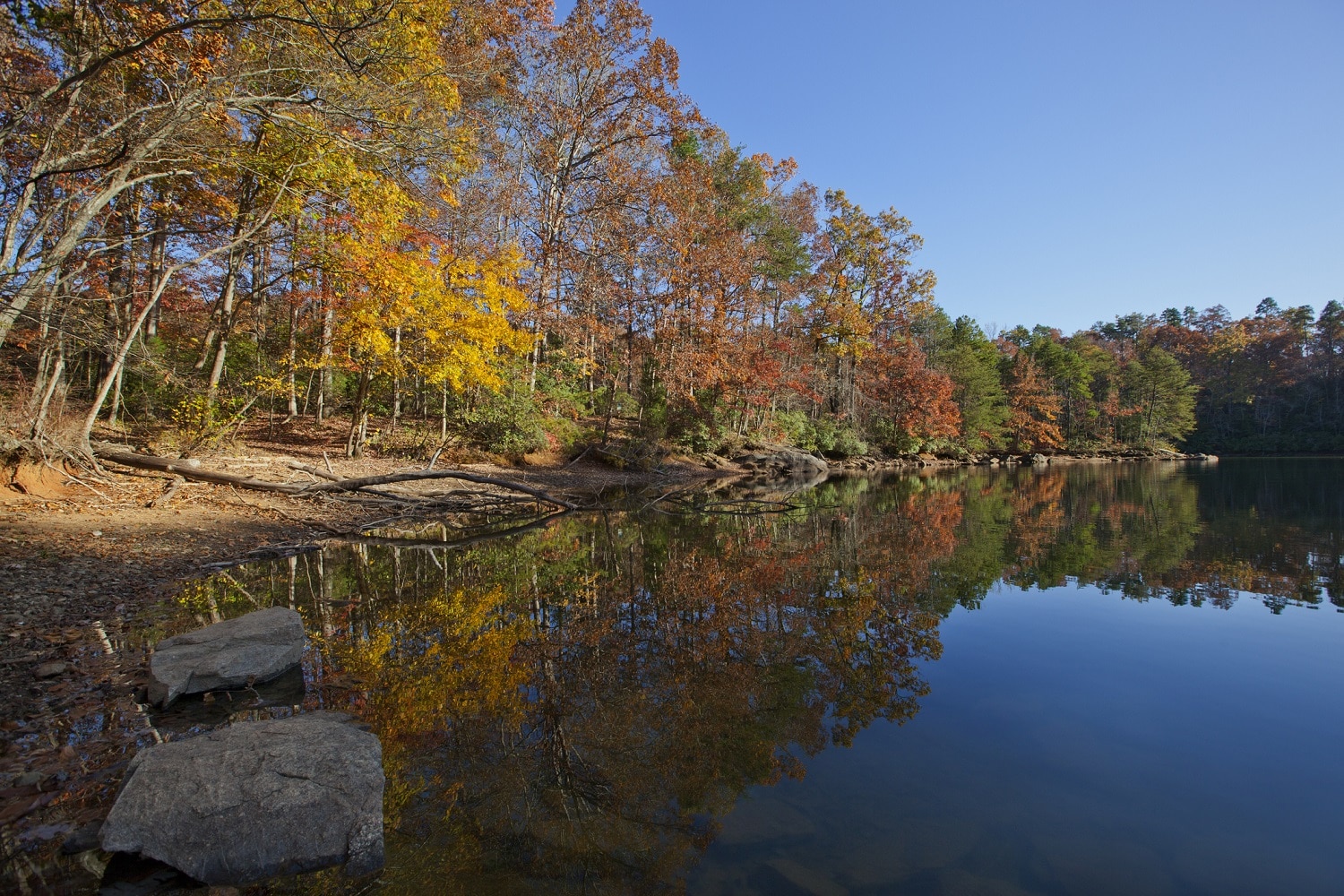 An autumn scenic of a Lake