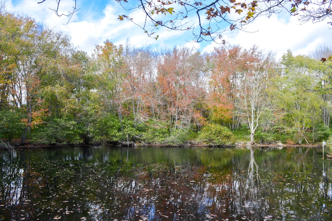 Connecticut Fall Foliage